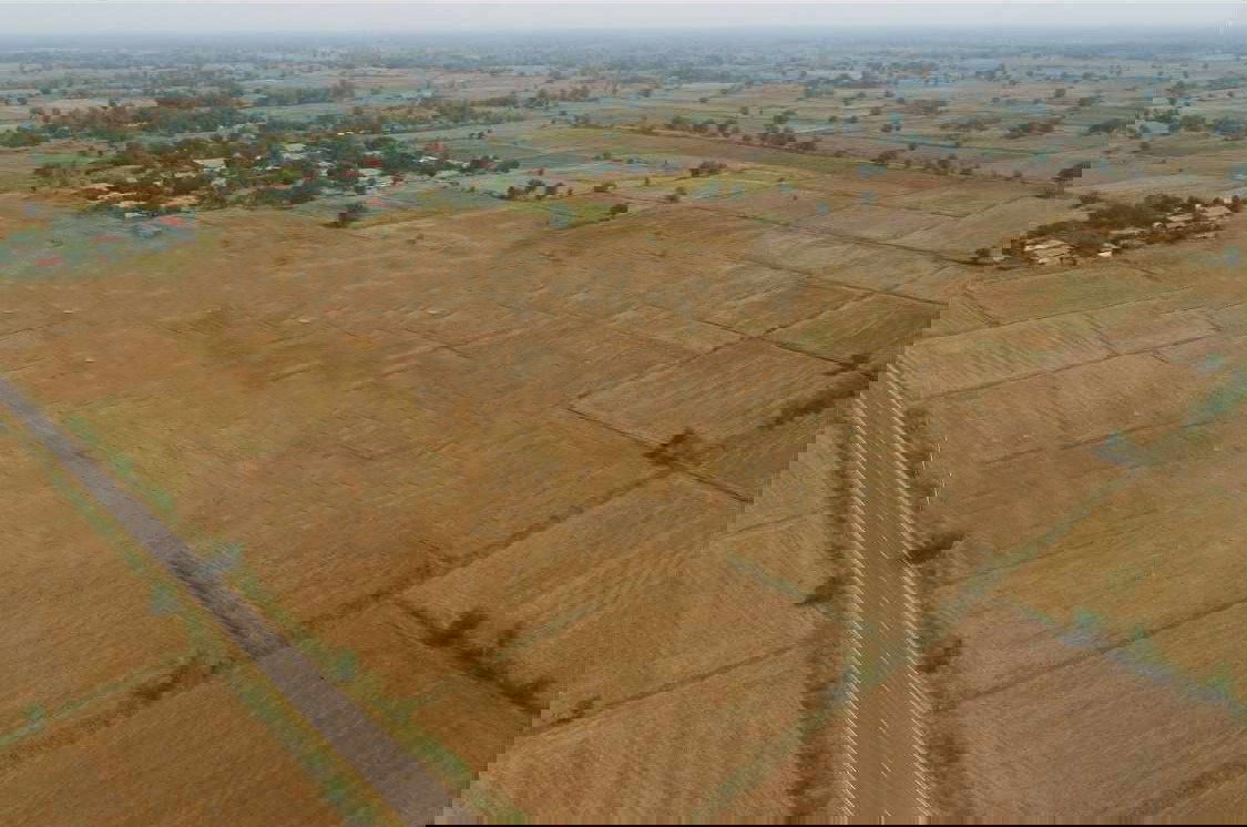 รูป ขายที่ดินโนนไทย ถ.บ้านตะกร้อ ใกล้มอเตอร์เวย์ ทำเลอนาคต ราคาดี 1.3 ลบ. เหมาะลงทุน–ปลูกบ้าน - รูปที่ 3/13