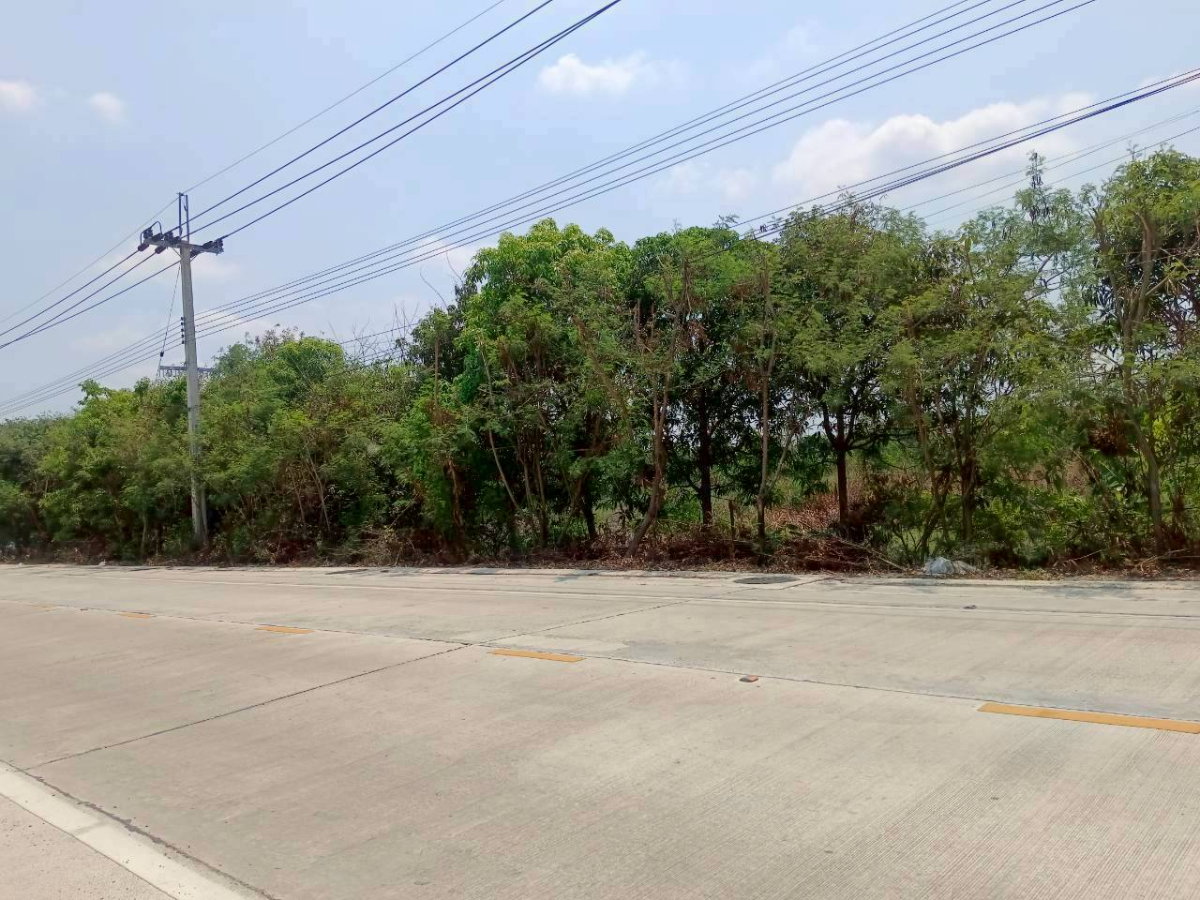 รูป ขายที่ดินแปลงสวย 9 ไร่  ใกล้เซ็นทรัลเวสต์เกต  บ้านใหม่ บางใหญ่  นนทบุรี - รูปที่ 2/6