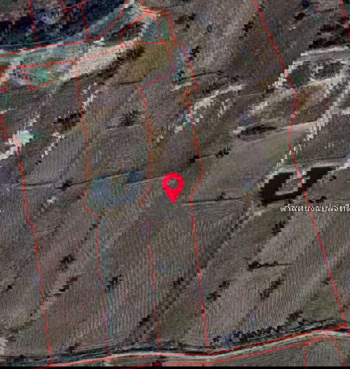 รูป ขายที่ดินโนนไทย ถ.บ้านตะกร้อ ใกล้มอเตอร์เวย์ ทำเลอนาคต ราคาดี 1.3 ลบ. เหมาะลงทุน–ปลูกบ้าน - รูปที่ 11/13