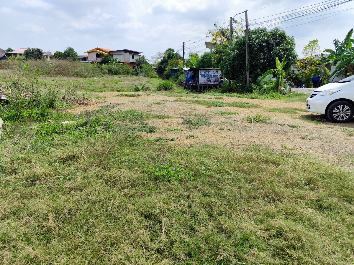 รูป ขายที่ดินติดซอยสามวังใกล้ถนนใหญ่ ราคาพิเศษ บางบัวทอง 10 ไร่กว่า ติดถนน ราคาถูก - รูปที่ 11/13