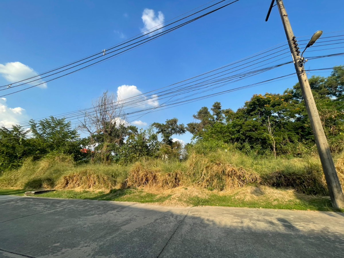 รูป ขาย ที่ดินเปล่า 484 ตรว. หมู่บ้านเมืองเอก โครงการ 4 - รูปที่ 2/7
