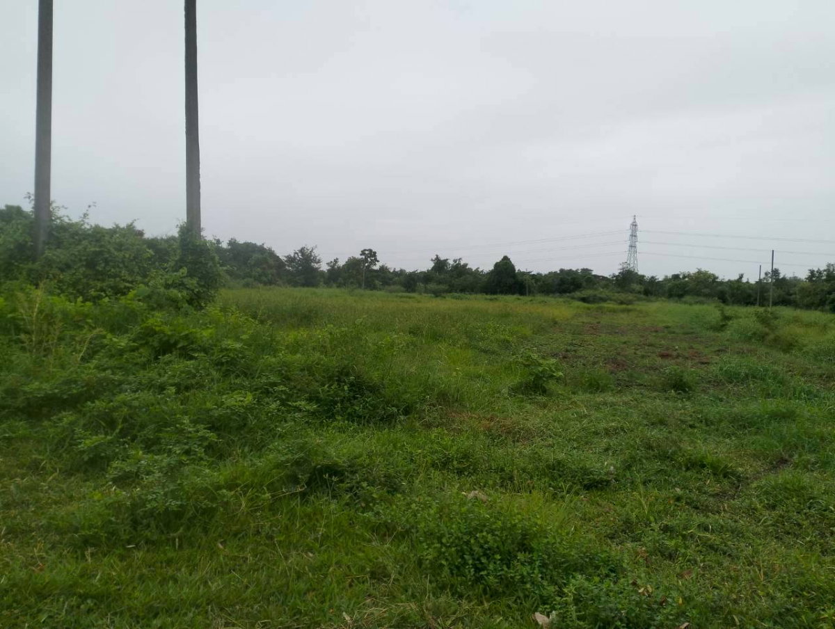 รูป ขายที่ดิน21ไร่ทางหลวงแผ่นดินหมายเลข208ขอนแก่น-ยางตลาด ต.โคกสี อ.เมืองขอนแก่น - รูปที่ 14/17
