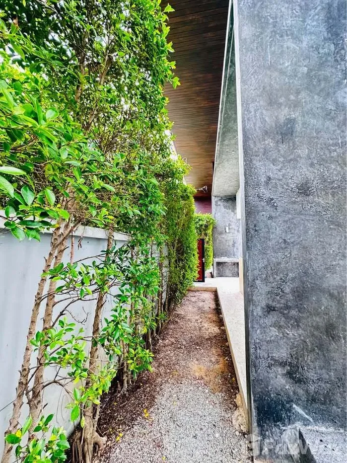 รูป วิลล่าให้เช่า 3 ห้องนอน ในโครงการ ดิ เอท พูล วิลลา 6117448 - รูปที่ 34/38