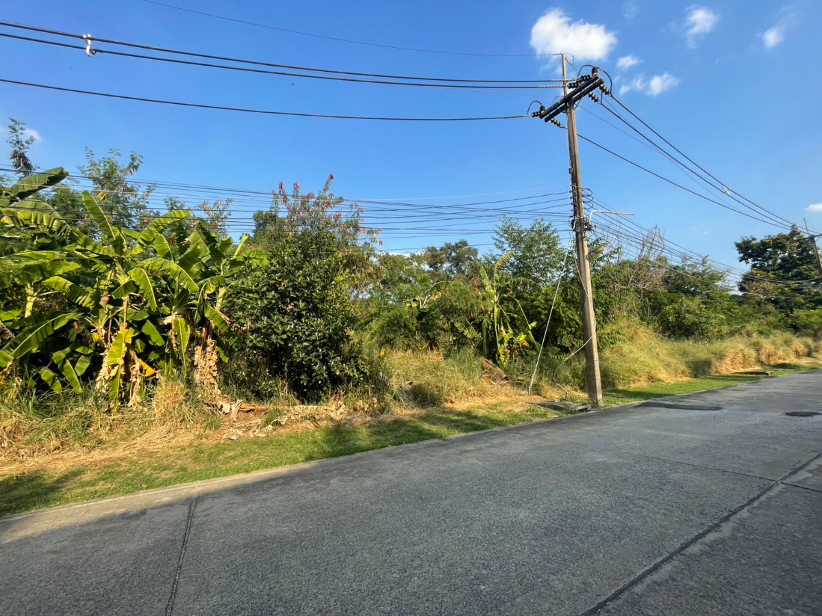 รูป ขาย ที่ดินเปล่า 484 ตรว. หมู่บ้านเมืองเอก โครงการ 4 - รูปที่ 5/7