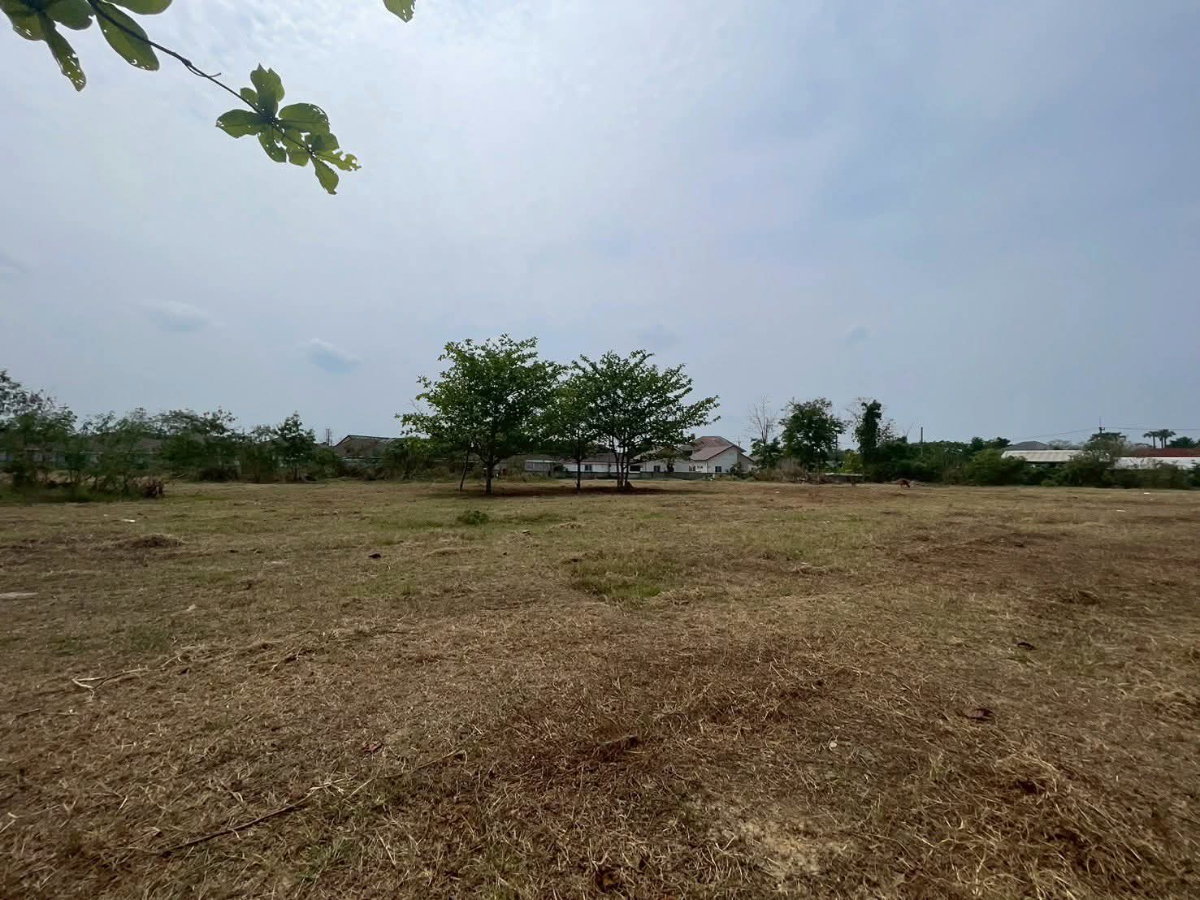 รูป ขายที่ดินบ้านช่างคำหลวงบ้านแหวนหางดงพร้อมโอน - รูปที่ 5/5
