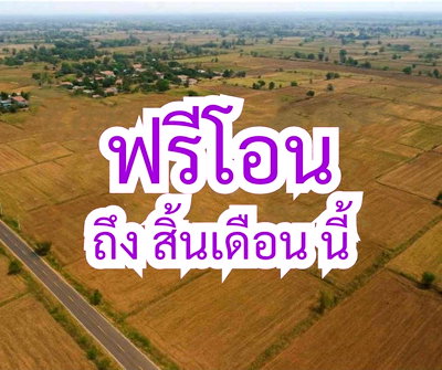 ขายที่ดิน : ขายที่ดินโนนไทย ถ.บ้านตะกร้อ ใกล้มอเตอร์เวย์ ทำเลอนาคต ราคาดี 1.3 ลบ. เหมาะลงทุน–ปลูกบ้าน