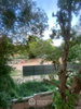 listing thumbnail image 12