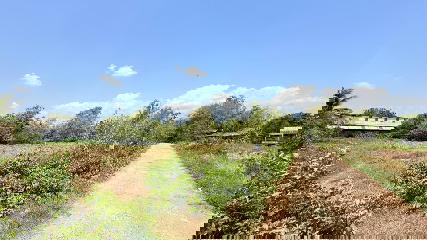 รูป ที่ดิน 1 ไร่ 200 ตารางวา อำเภอเมืองนครนายก ใกล้แยกศรีนาวา - รูปที่ 3/8