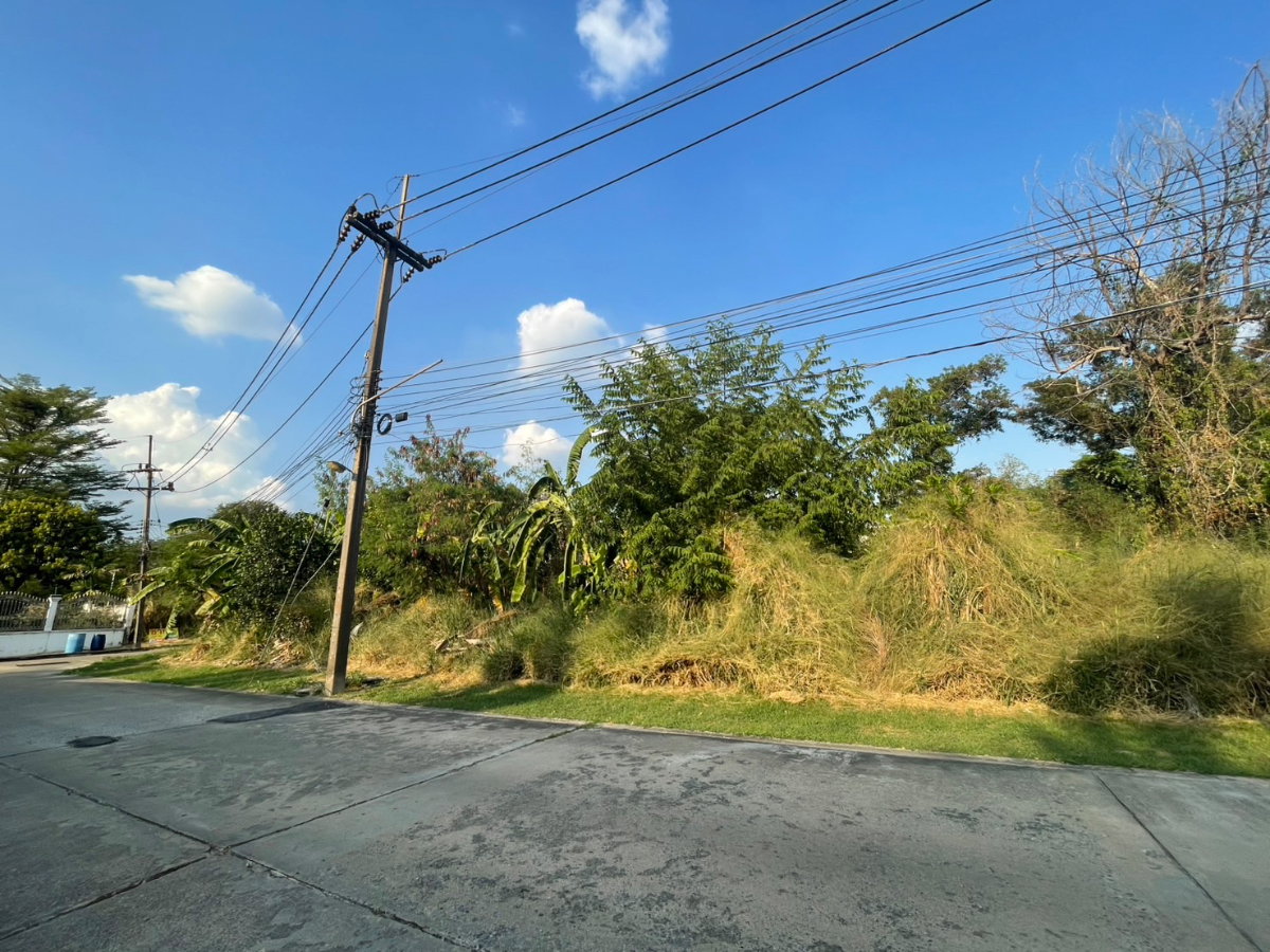 รูป ขาย ที่ดินเปล่า 484 ตรว. หมู่บ้านเมืองเอก โครงการ 4 - รูปที่ 3/7