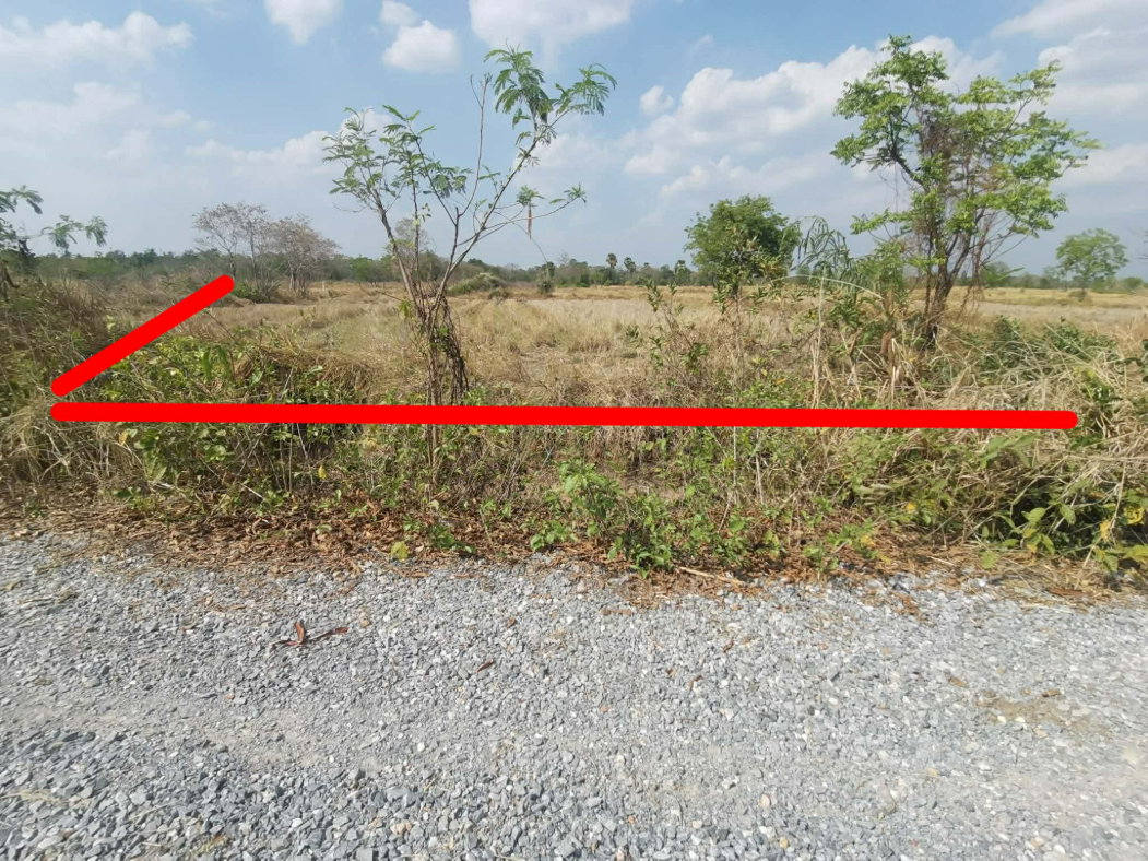 รูป ขายที่ดินโนนไทย ถ.บ้านตะกร้อ ใกล้มอเตอร์เวย์ ทำเลอนาคต ราคาดี 1.3 ลบ. เหมาะลงทุน–ปลูกบ้าน - รูปที่ 4/13