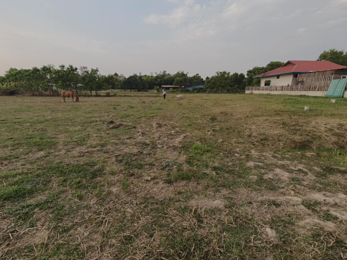 รูป ขายที่ดินแปลงใหญ่ บ้านทุ่งขุนน้อย อุบลราชธานี ** เพียง 1.5 ลบ. ฟรีโอน ** (N.2029) - รูปที่ 10/16