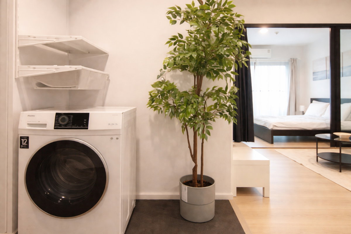 รูป ‼️ให้เช่าห้อง 35 ตรม.‼️🌈☁️ A Space MEGA 1 📲ติดต่อโทร/ไลน์ 099-289-1569 - รูปที่ 6/8