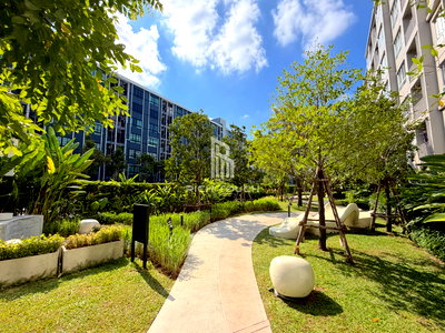 Condos for rent Central Festival Hadyai : Dcond sand for rent 10,000 baht