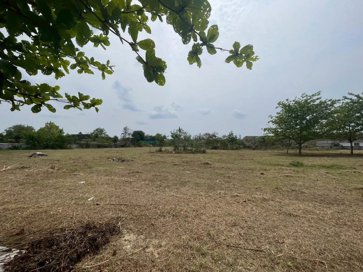 รูป ขายที่ดินบ้านช่างคำหลวงบ้านแหวนหางดงพร้อมโอน - รูปที่ 4/5