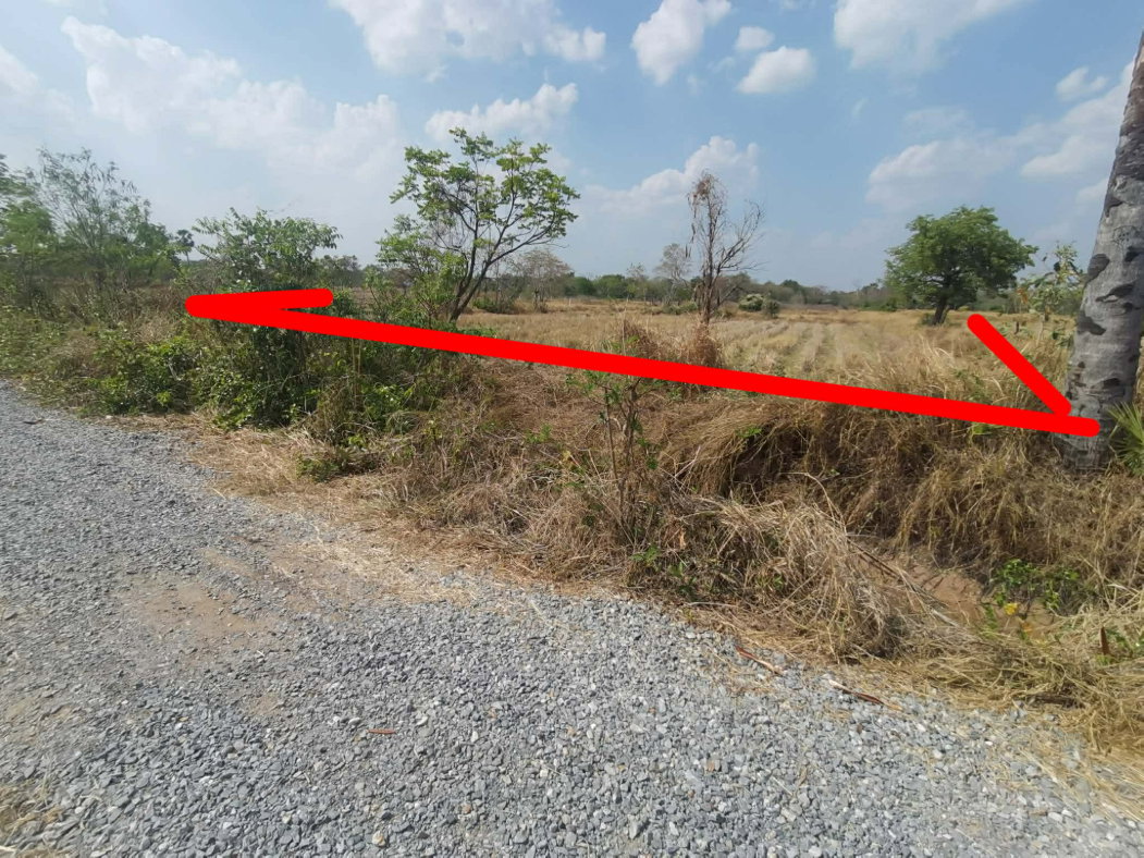 รูป ขายที่ดินโนนไทย ถ.บ้านตะกร้อ ใกล้มอเตอร์เวย์ ทำเลอนาคต ราคาดี 1.3 ลบ. เหมาะลงทุน–ปลูกบ้าน - รูปที่ 5/13