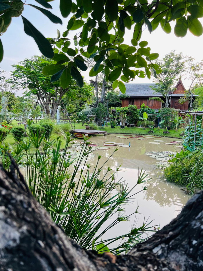 รูป วิลล่าริมน้ำสไตล์ไทยประยุกต์ – ใกล้ มศว. องครักษ์ รังสิต ใหญ่มากกว่า 600 กว่าตารางวา  - รูปที่ 4/59