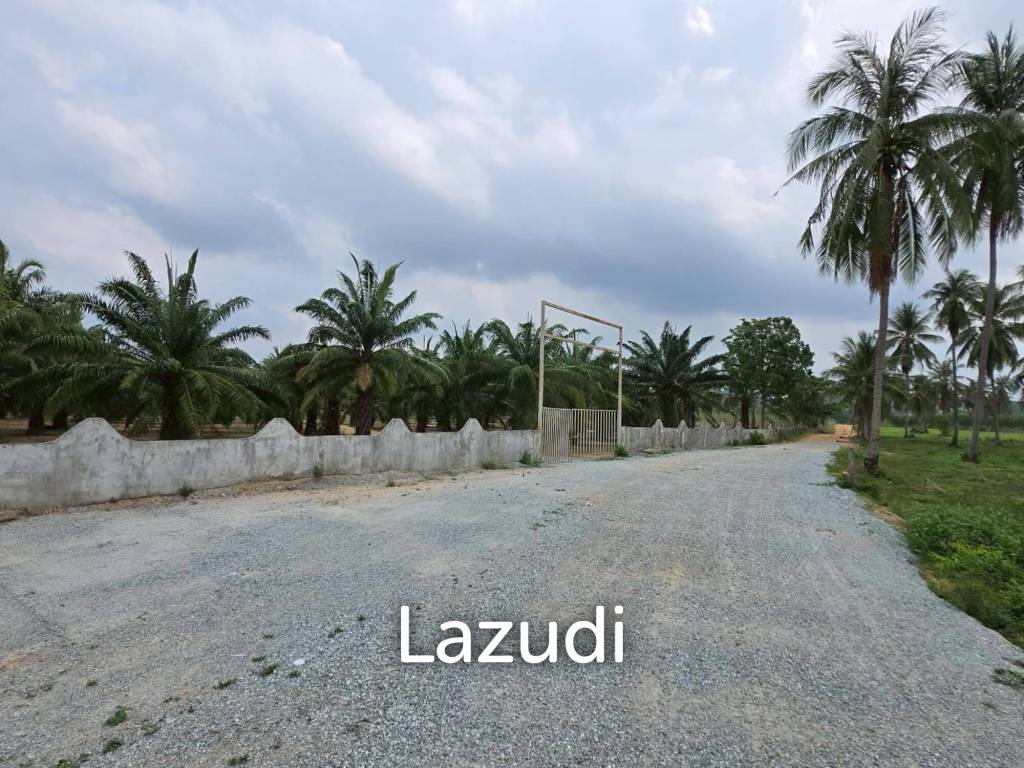 รูป ขายที่ดินลงทุนชั้นดี 60+ ไร่ ติดมอเตอร์เวย์ 7 ห้วยใหญ่ - รูปที่ 7/10