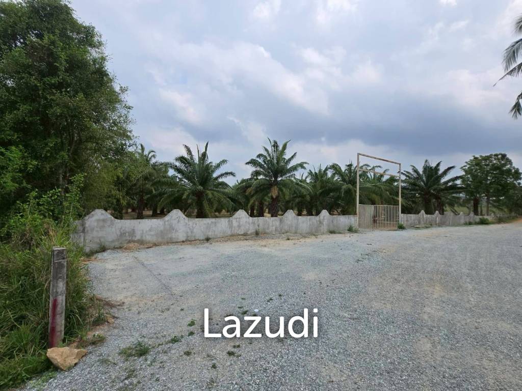 รูป ขายที่ดินลงทุนชั้นดี 60+ ไร่ ติดมอเตอร์เวย์ 7 ห้วยใหญ่ - รูปที่ 8/10