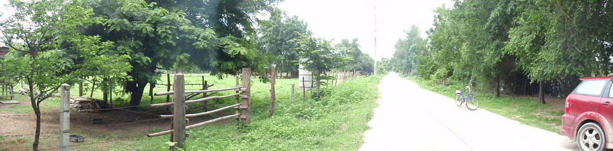 รูป ขายที่ดิน 5.5ไร่ แบ่งได้ ติดแม่น้ำปิง ตำบลหนองบัวเหนือ หมู่5 อ.เมือง จ.ตาก ใกล้สะพานข้ามแม่น้ำปิงแห่งใหม่ สะพานบ้านวังม่วง - รูปที่ 9/10