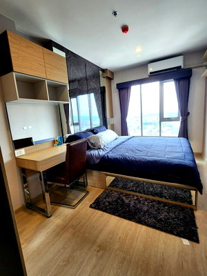 Condos for rent Central Festival Hadyai : ✨ FOR RENT PLUS CONNECT HATYAI ✨