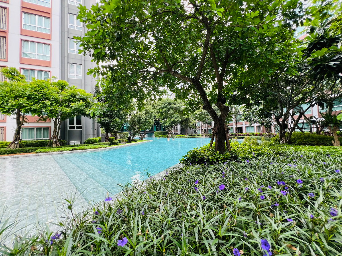 รูป ✅ราคานี้หายาก ดีคอนโดพิงค์วิวสระ 21.5ล้าน ชั้น7ขนาด30ตรม.☎️063-792-4426(เบญ) - รูปที่ 13/15