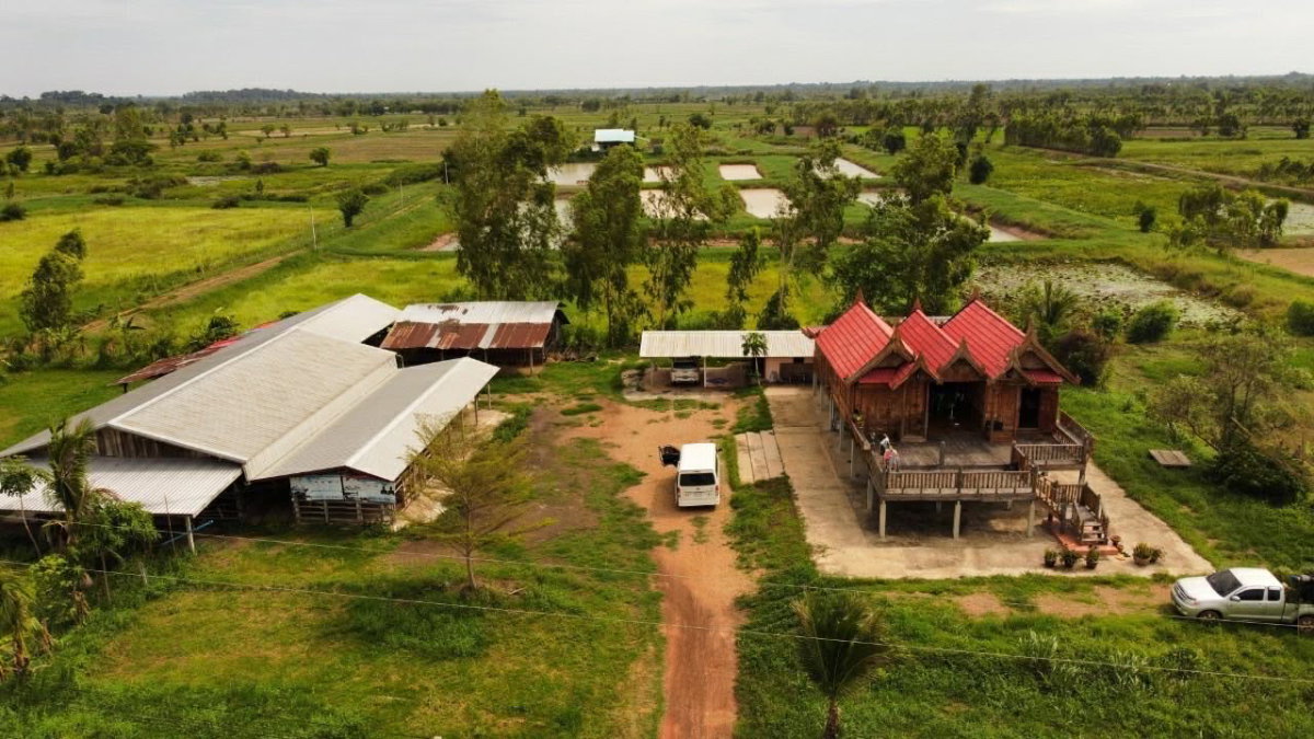 รูป 🏕️ขายที่ดิน 31ไร่  20ตารางวา จ.ร้อยเอ็ด +พร้อมบ้านเรือนไทย 2 หลัง🏠🏠 📌หน้ากว้างติดถนน 200 เมตร ที่ดินติด ถนน อบจ. ร้อยเอ็ด - รูปที่ 2/12