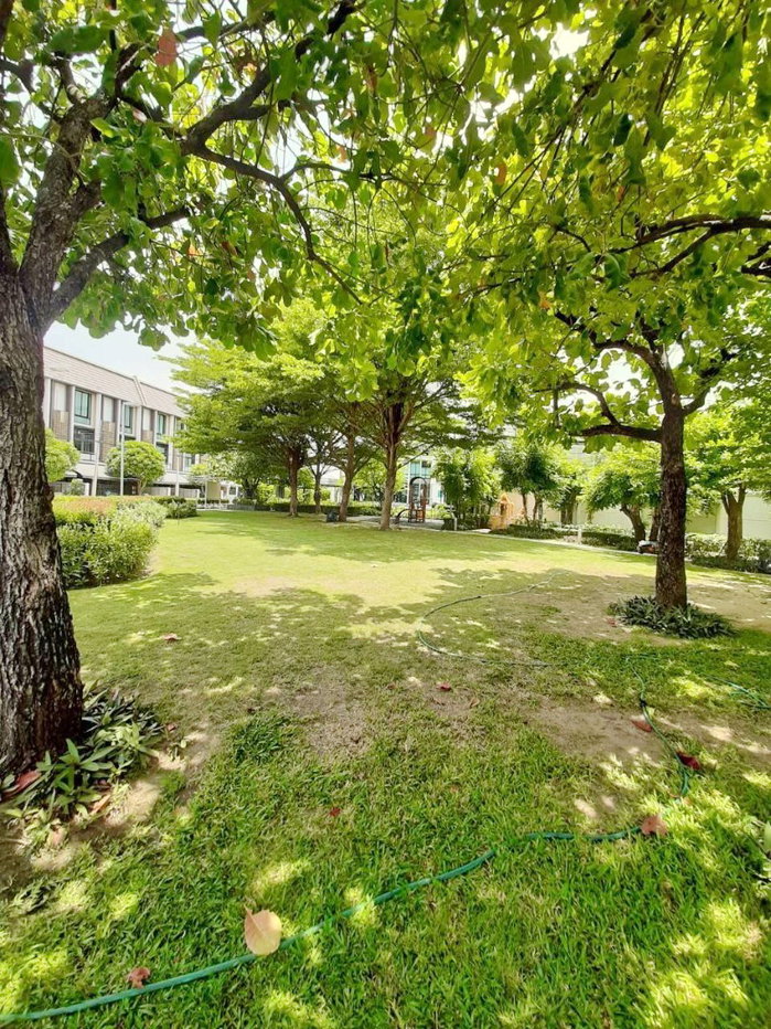 รูป ให้เช่า บ้านทาวน์โฮมพร้อมเฟอร์นิเจอร์ บิ้วอิน หลังมุม หมู่บ้านฟลอร่าวงศ์สว่าง  - รูปที่ 24/27