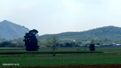 ที่ดิน แก่งคอย สระบุรี : ขายที่ดิน แก่งคอย กว้าง 36 เมตร ลึก 480 เมตร ติดถนน8 เมตร ตลอดแนวโฉนด   ติดถนนลาดยาง-ประปา-ไฟฟ้า  เฉลี่ยไร่ละ 400,000บาท ทำแบ่งขายได้