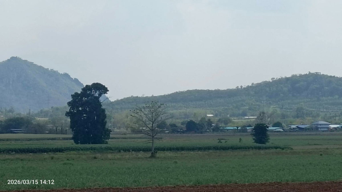 รูป ขายที่ดิน แก่งคอย กว้าง 36 เมตร ลึก 480 เมตร ติดถนน8 เมตร ตลอดแนวโฉนด   ติดถนนลาดยาง-ประปา-ไฟฟ้า  เฉลี่ยไร่ละ 400,000บาท ทำแบ่งขายได้ - รูปที่ 1/6