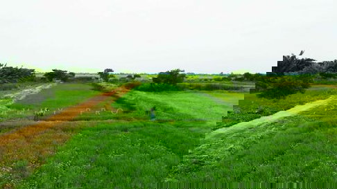 ขายที่ดินเปล่าพระอาจารย์ องครักษ์ นครนายก 8แปลง 100-150ตรว