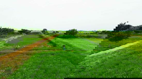 รูป ขายที่ดินเปล่าพระอาจารย์ องครักษ์ นครนายก 8แปลง 100-150ตรว - รูปที่ 1/4