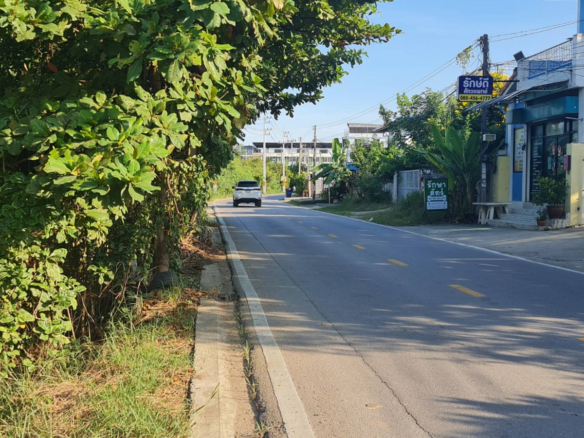 รูป 🏡 ที่ดิน 2 ไร่ ใกล้กรุงเทพ   เลือกได้หลายสไตล์ ตามที่คุณต้องการ - รูปที่ 4/7