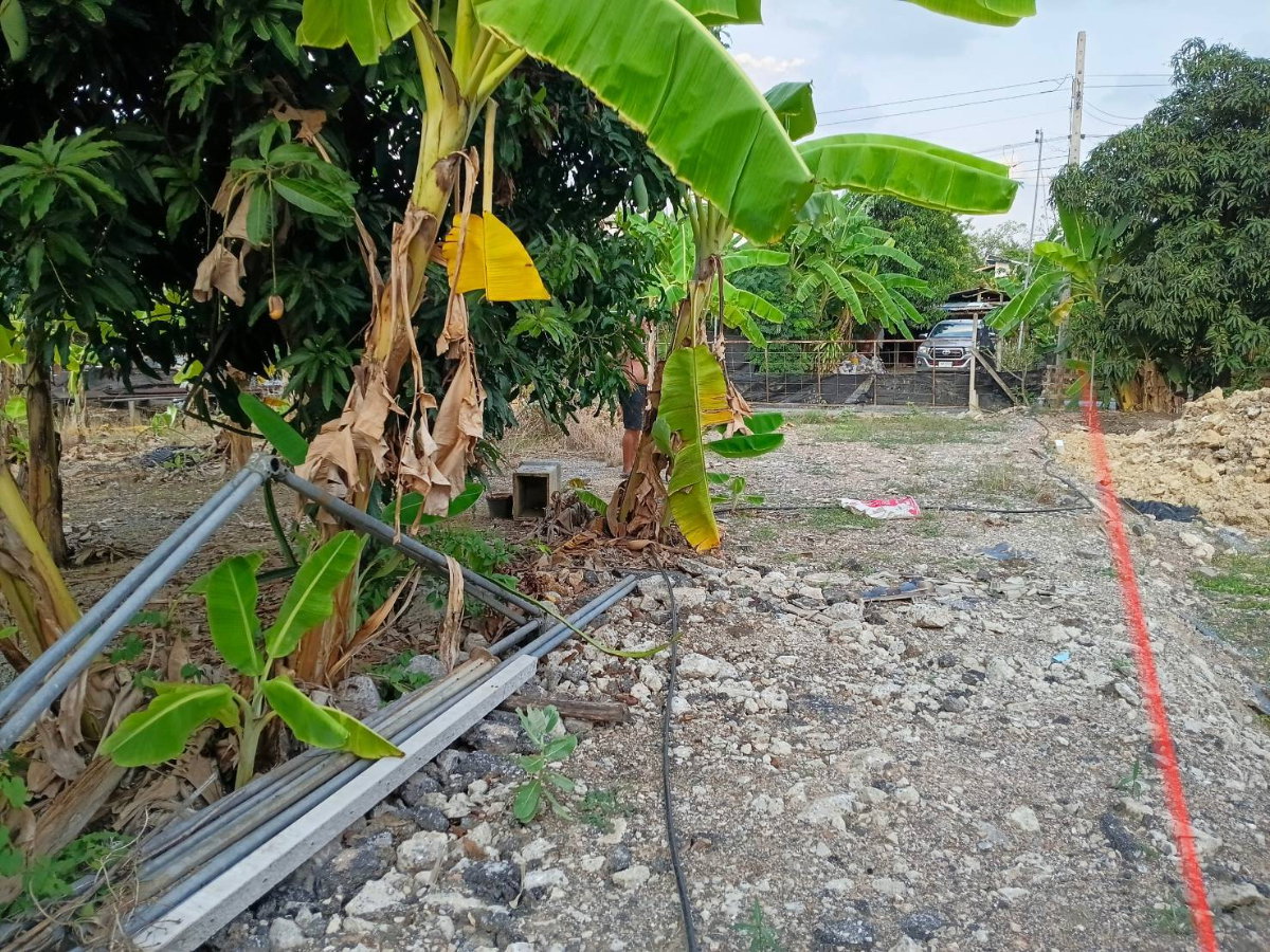 รูป ขายที่ดินถมแล้ว เพชรเกษม 88 เขต.บางแค กทม.  ขนาด 220 ตรว.  ตรว.ละ 28,000 กว้าง 24 เมตร ลึก 35 เมตร - รูปที่ 7/15