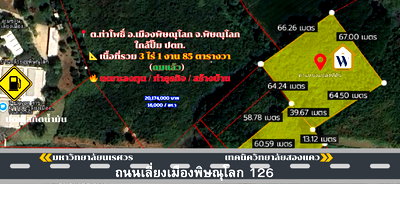 ที่ดิน เมืองพิษณุโลก พิษณุโลก : ขายที่ดินแปลงใหญ่ ติดถนนเลี่ยงเมืองพิษณุโลก เหมาะกับลงทุนทุกรูปแบบ