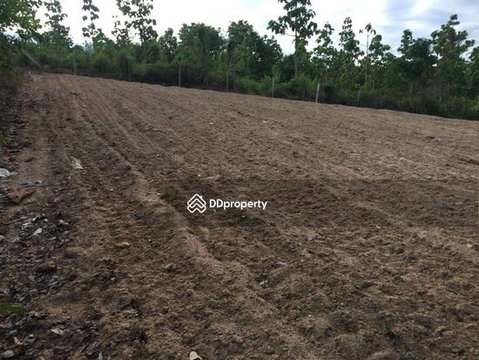 Land for sale in Mae Hong Son Province, Coffee in Love coffee shop