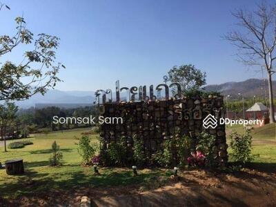 รูป ขายที่ดิน อ.ปาย จ.แม่ฮ่องสอน 12 ไร่ - รูปที่ 1/3