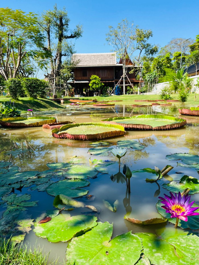 รูป วิลล่าริมน้ำสไตล์ไทยประยุกต์ – ใกล้ มศว. องครักษ์ รังสิต ใหญ่มากกว่า 600 กว่าตารางวา  - รูปที่ 57/59