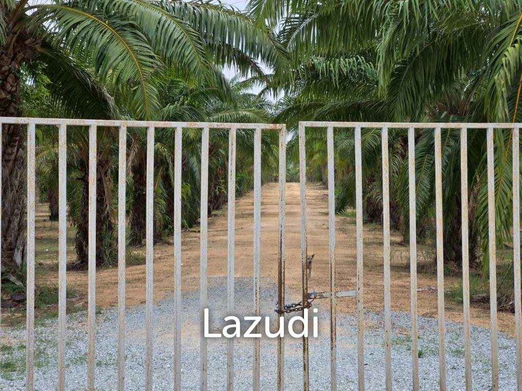 รูป ขายที่ดินลงทุนชั้นดี 60+ ไร่ ติดมอเตอร์เวย์ 7 ห้วยใหญ่ - รูปที่ 4/10