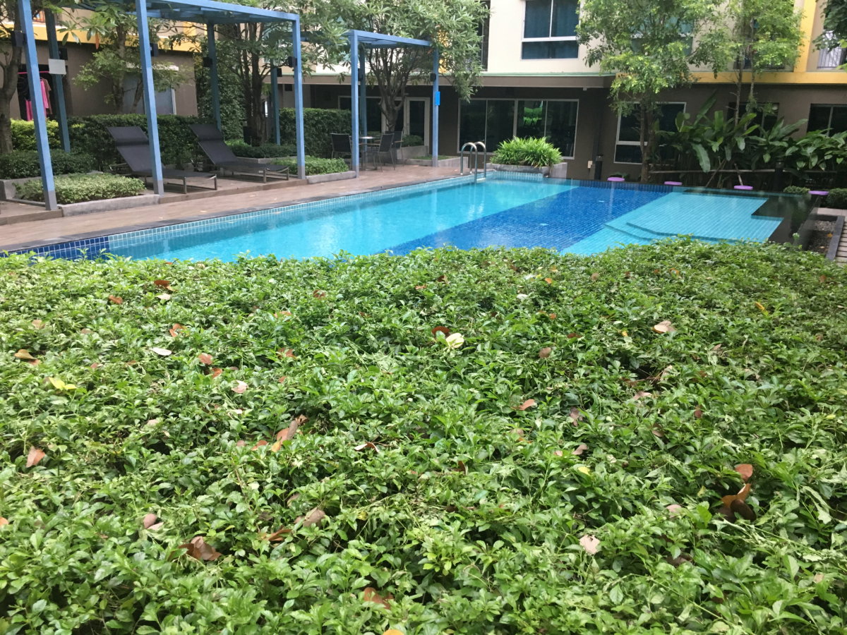 picture Room For Rent Plum Condo Laemchabang - 24/28