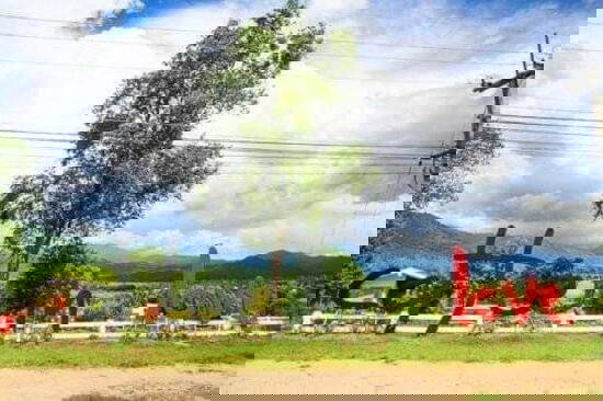 รูป ขายที่ดิน จ.แม่ฮ่องสอน ใกล้ร้านกาแฟ Coffee in Love - รูปที่ 3/4