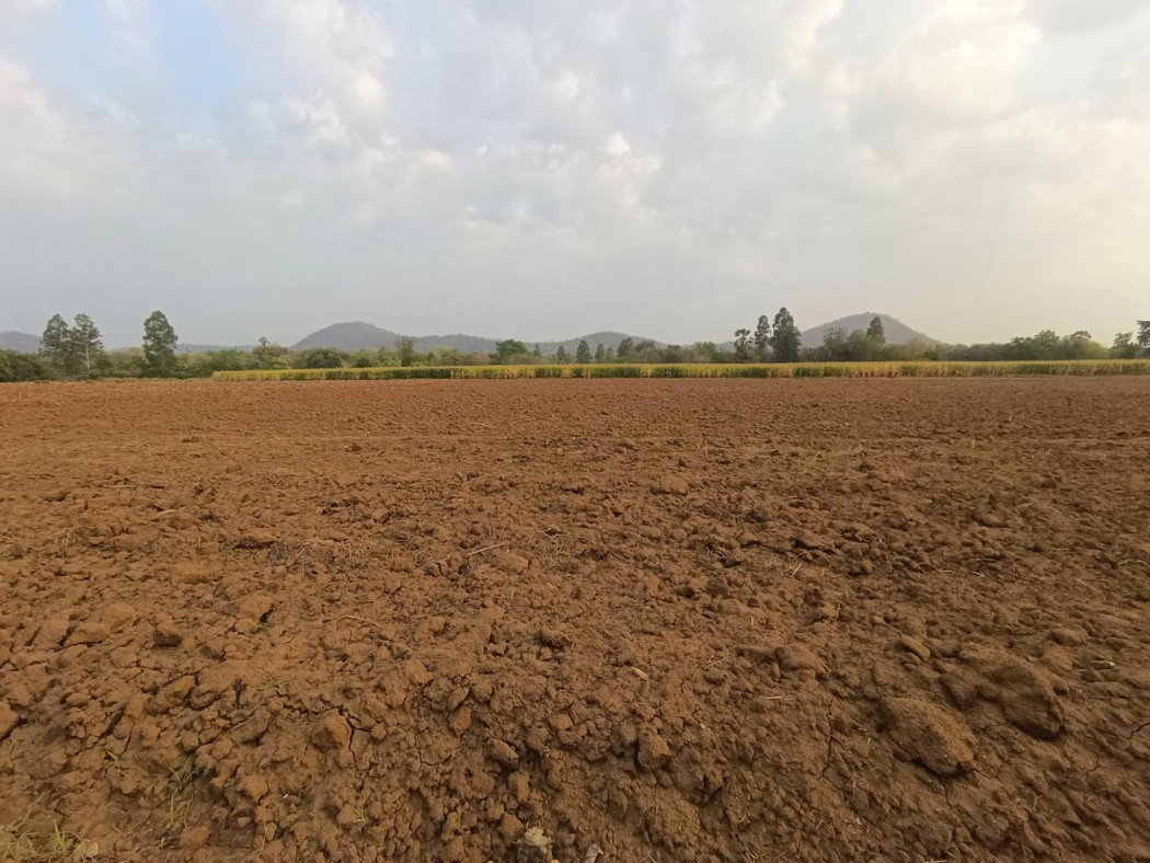 รูป ขายที่ดิน วิวเขา อู่ทอง จังหวัดสุพรรณบุรี บรรยากาศธรรมชาติ เหมาะลงทุนและพักผ่อน - รูปที่ 1/5