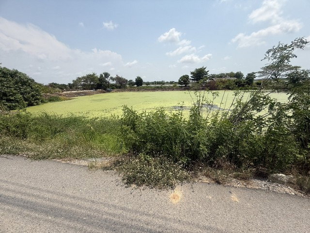 รูป ขายที่ดินทำเลทอง 106-3-65.8 ไร่ ผังสีเหลือง ถนนรัตนโกสินทร์ 200 ปี เหมาะทำโกดัง คลังสินค้า  - รูปที่ 7/10