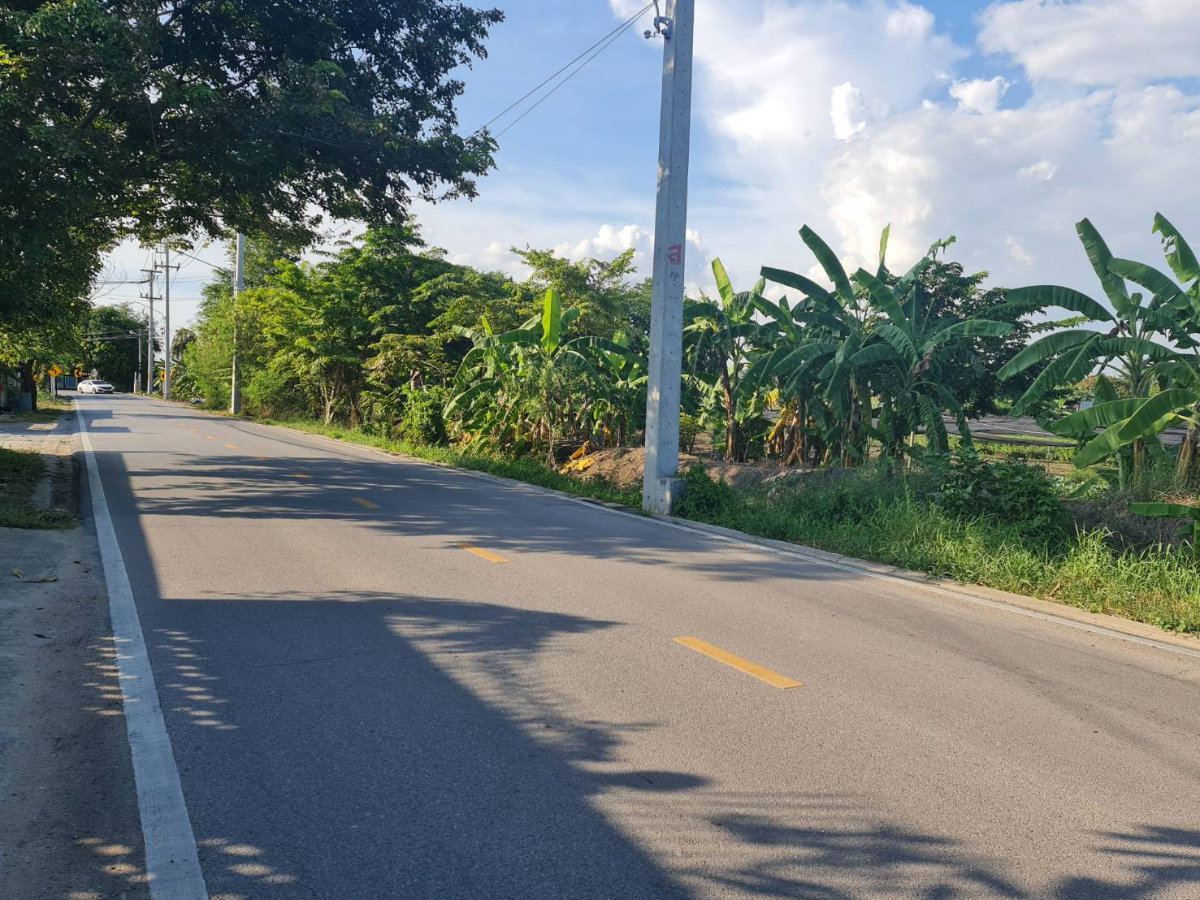 รูป 🏡 ที่ดิน 2 ไร่ ใกล้กรุงเทพ   เลือกได้หลายสไตล์ ตามที่คุณต้องการ - รูปที่ 2/7