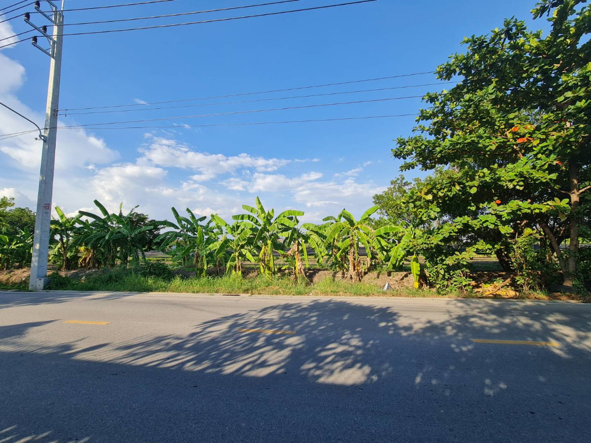 รูป 🏡 ที่ดิน 2 ไร่ ใกล้กรุงเทพ   เลือกได้หลายสไตล์ ตามที่คุณต้องการ - รูปที่ 3/7