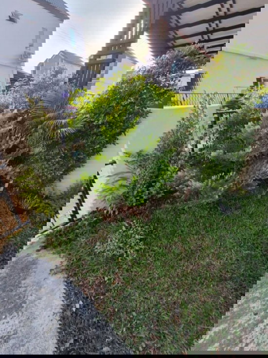 รูป ✨ ให้เช่า ทาวน์โฮมทรงอิสระ โครงการ The connect บางนา - วงแหวน 2 ชั้น 3 นอน 3 น้ำ 25 ตรว 19000 บาท  🏡💖 - รูปที่ 4/9