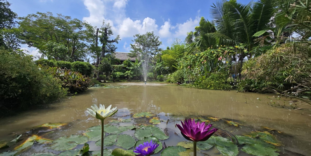 รูป วิลล่าริมน้ำสไตล์ไทยประยุกต์ – ใกล้ มศว. องครักษ์ รังสิต ใหญ่มากกว่า 600 กว่าตารางวา  - รูปที่ 25/59