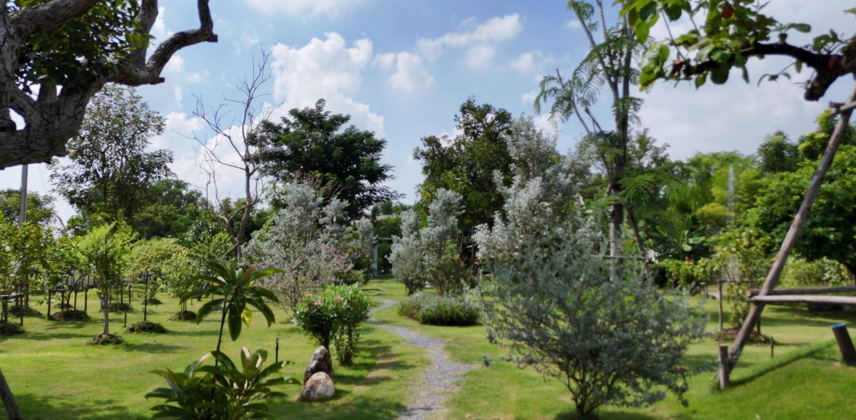 รูป วิลล่าริมน้ำสไตล์ไทยประยุกต์ – ใกล้ มศว. องครักษ์ รังสิต ใหญ่มากกว่า 600 กว่าตารางวา  - รูปที่ 10/59