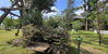 listing thumbnail image 18
