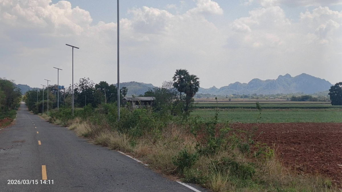 รูป ขายที่ดิน แก่งคอย กว้าง 36 เมตร ลึก 480 เมตร ติดถนน8 เมตร ตลอดแนวโฉนด   ติดถนนลาดยาง-ประปา-ไฟฟ้า  เฉลี่ยไร่ละ 400,000บาท ทำแบ่งขายได้ - รูปที่ 6/6