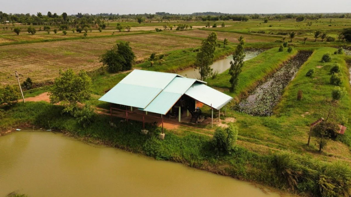 รูป 🏕️ขายที่ดิน 31ไร่  20ตารางวา จ.ร้อยเอ็ด +พร้อมบ้านเรือนไทย 2 หลัง🏠🏠 📌หน้ากว้างติดถนน 200 เมตร ที่ดินติด ถนน อบจ. ร้อยเอ็ด - รูปที่ 10/12